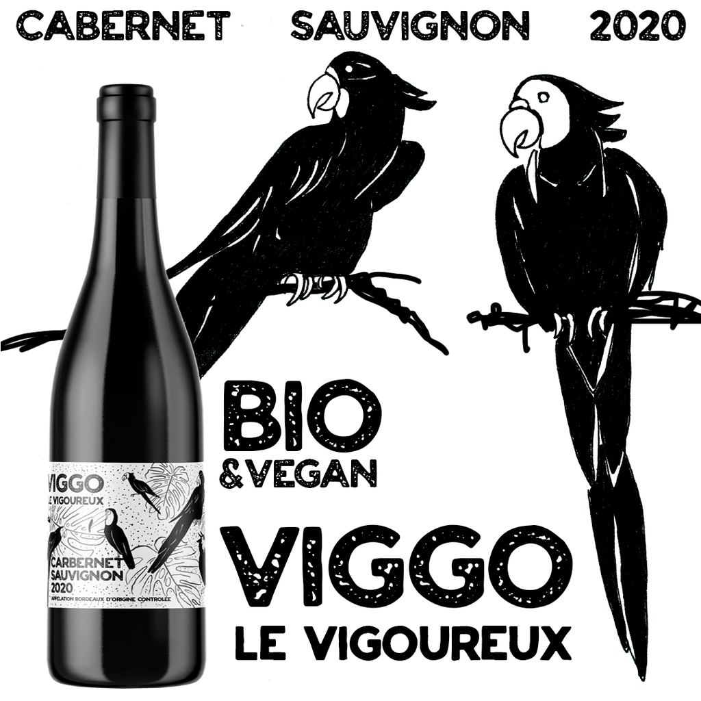 Viggo Le Vigoureux - Domaine Chibaou X Les Vintrépides BIO