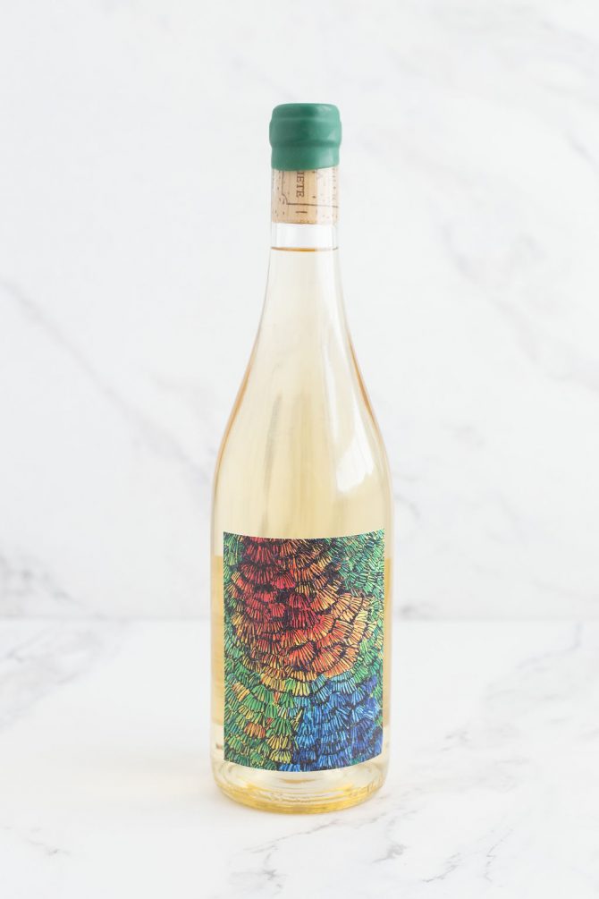 L'oiseau des Vignes - Domaine le Fay d'Homme X Moon Wine BIO