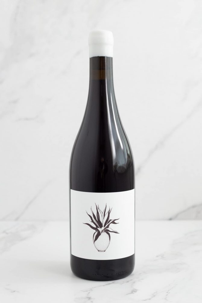 Amore - Celler Tanca Els Ulls X Moon Wine