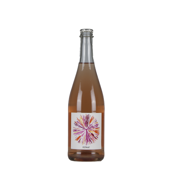 Petnat Blanc - Plaisance-Penavayre BIO