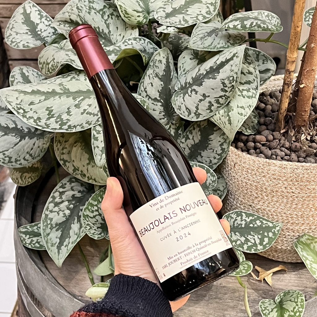 Beaujolais Nouveau - Domaine Joubert BIO