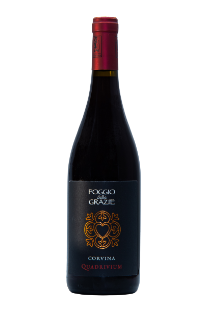 Corvina - Poggio delle Grazie
