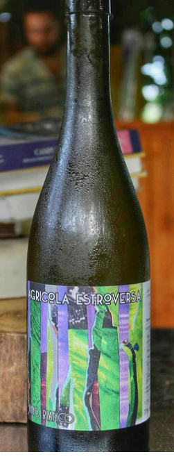 Vino Bianco - Agricola Estroversa