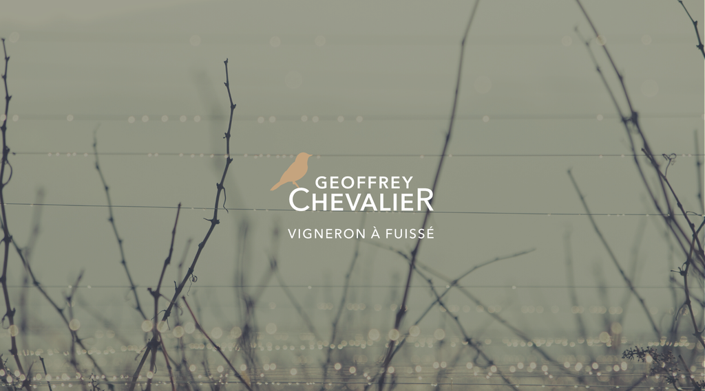 Pouilly-Fuissé 'Les Scéllés' - Domaine Chevalier BIO