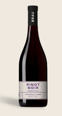 Pinot noir - Domaine de Brau BIO