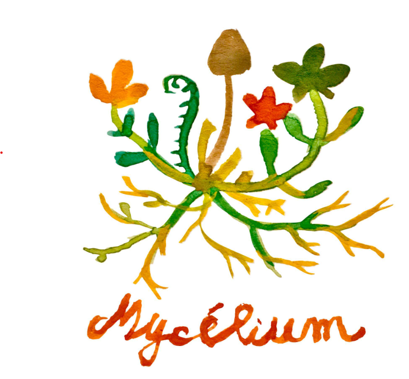Muscat, Sylvaner, Riesling - Mycélium BIO