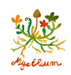 [MYC-R-PG] Pinot gris - Mycélium BIO