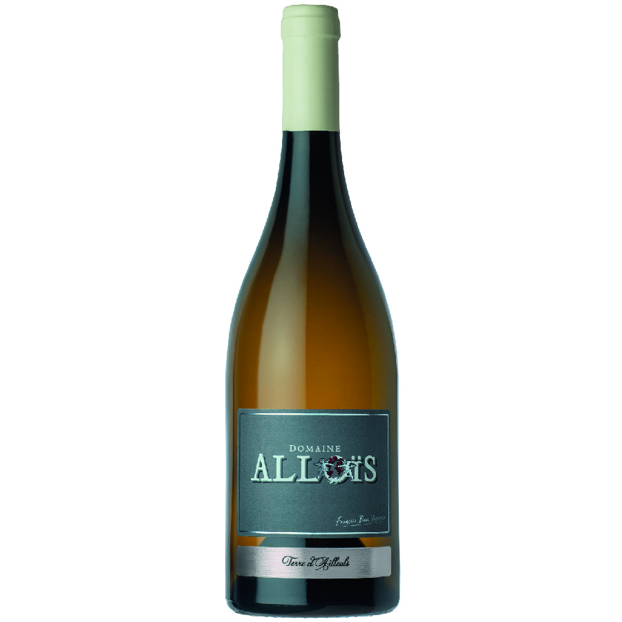 Terre d'ailleuls blanc - Domaine Alloïs BIO