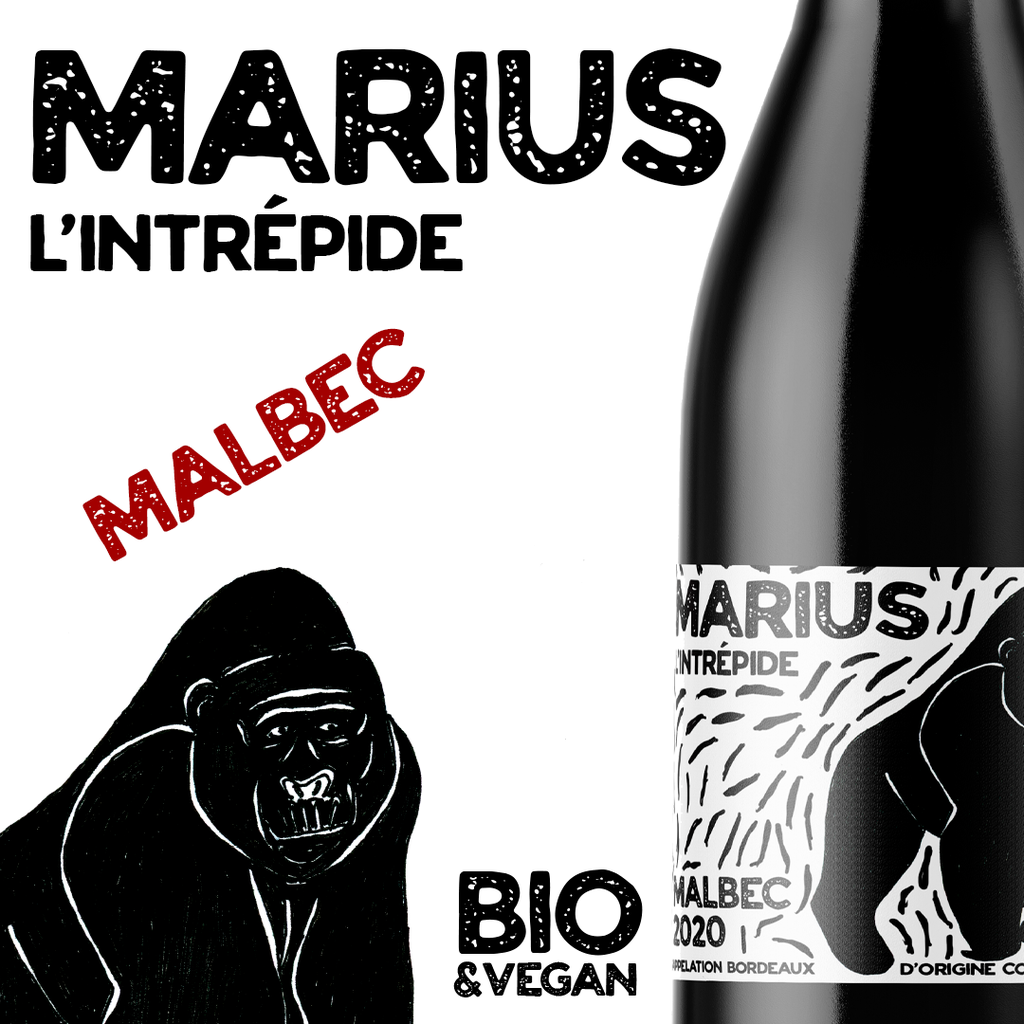 [LV-RG-MAR] Marius L’Intrépide - Manissy x Les Vintrépides BIO