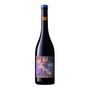 [NOEL-RG-ZOI] Zoï - Domaine les Hautes Noëlles