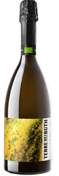 Prosecco Spumante MAGNUM - Terre Dei Buth BIO