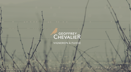 [CHEV-BL-PLESS] Pouilly-Fuissé 'Les Plessys' - Domaine Chevalier BIO