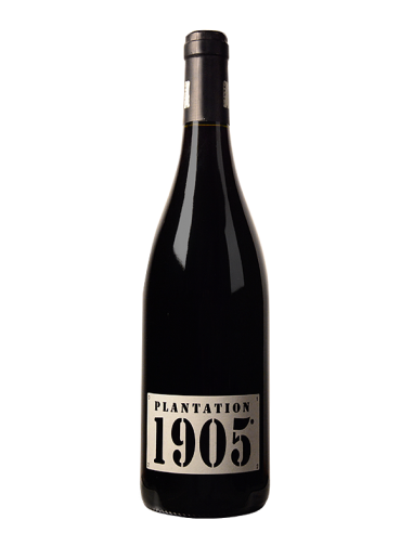 [TOURB-RG-1905] Plantation 1905 - Domaine de la Tour Boisée BIO