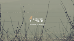 [CHEV-BL-VCRA] Pouilly-Fuissé 'Vers Cras' Premier Cru - Domaine Chevalier BIO