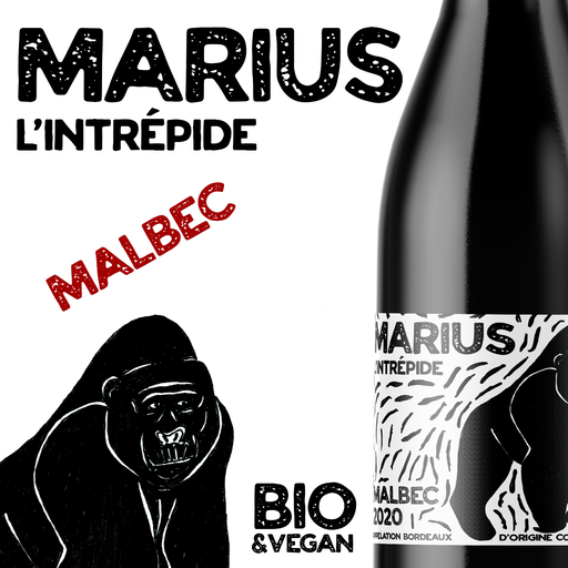 [LV-RG-MAR] Marius L’Intrépide - Domaine Chibaou X Les Vintrépides BIO